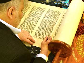 Torah Repair
